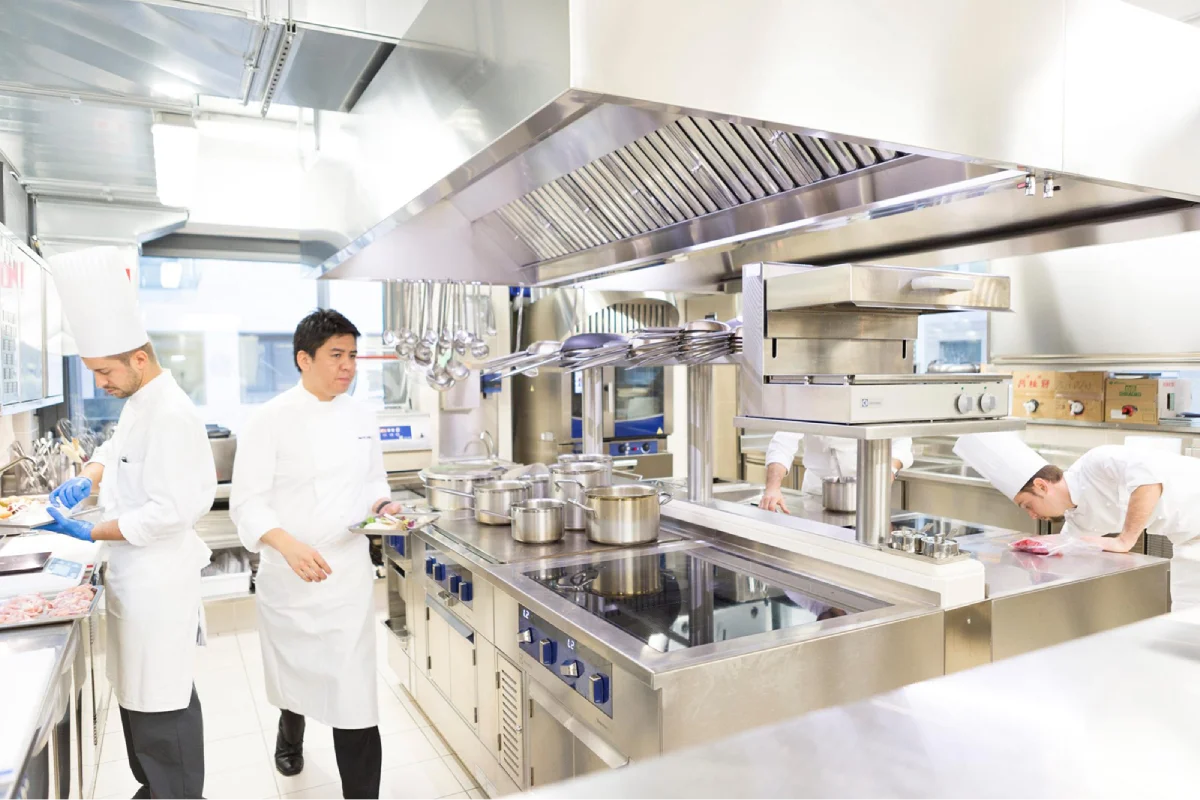 Cocina profesional 2