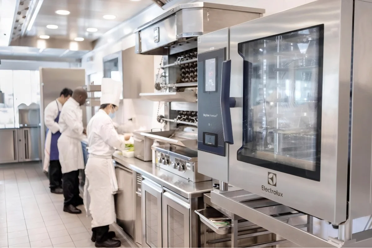 Cocina profesional 5